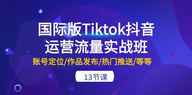 国际版Tiktok抖音运营流量实战班：账号定位/作品发布/热门推送/等等-13节-网创特工