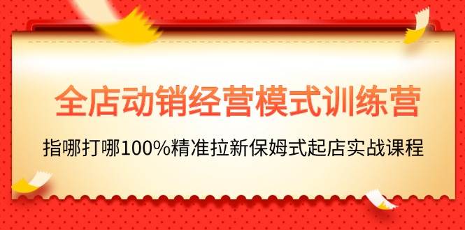 全店动销-经营模式训练营，指哪打哪100%精准拉新保姆式起店实战课程-网创特工