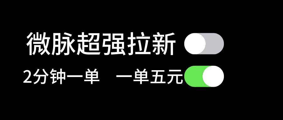 微脉超强拉新， 两分钟1单， 一单利润5块，适合小白-网创特工