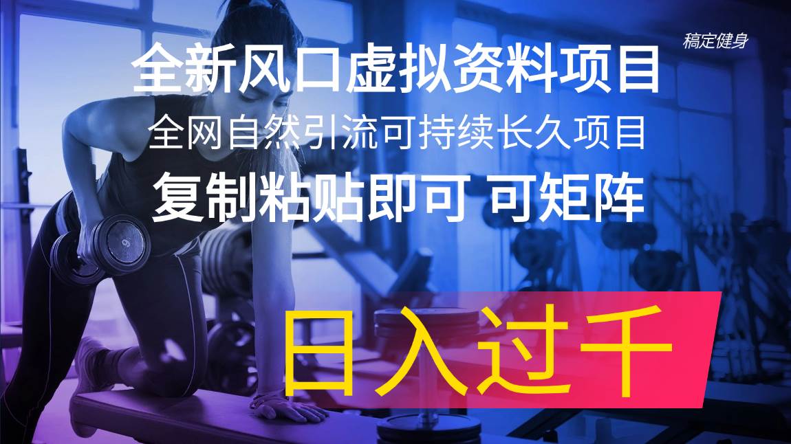 全新风口虚拟资料项目 全网自然引流可持续长久项目 复制粘贴即可可矩阵…-网创特工