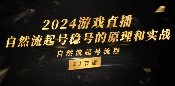 2024游戏直播-自然流起号稳号的原理和实战，自然流起号流程（11节）-网创特工