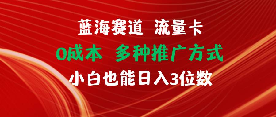 蓝海赛道 流量卡 0成本 小白也能日入三位数-网创特工