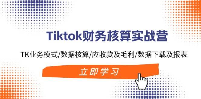 Tiktok财务核算实战营：TK业务模式/数据核算/应收款及毛利/数据下载及报表-网创特工