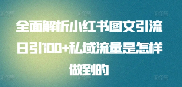 全面解析小红书图文引流日引100私域流量是怎样做到的-网创特工