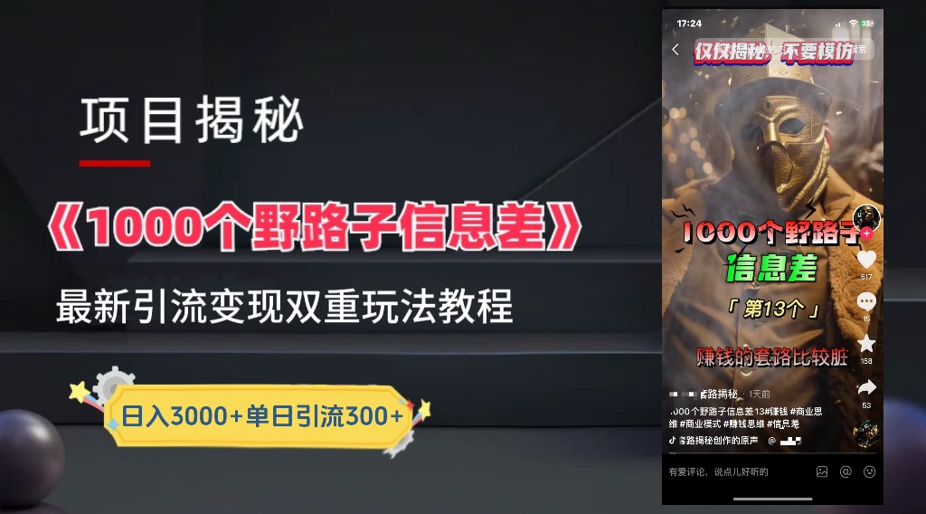 一千个野路子信息差24年最新玩法教程附带变现方法和引流的玩法具体拆解-网创特工
