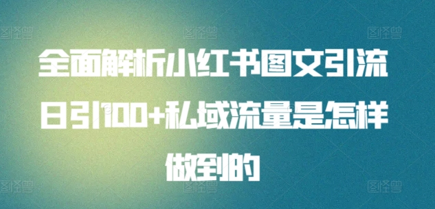 日引流100私域流量小红书图文是怎样做到的全面解析-网创特工