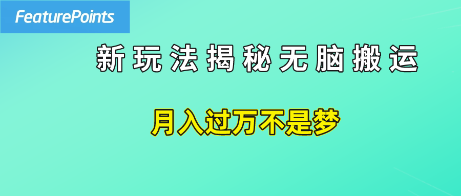 简单操作，每天50美元收入，搬运就是赚钱的秘诀！-网创特工