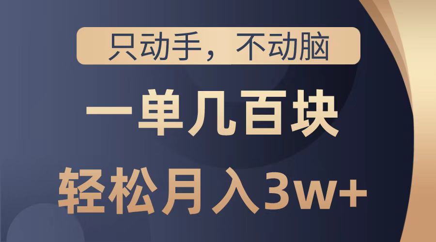 只动手不动脑，一单几百块，轻松月入2w+，看完就能直接操作，详细教程-网创特工