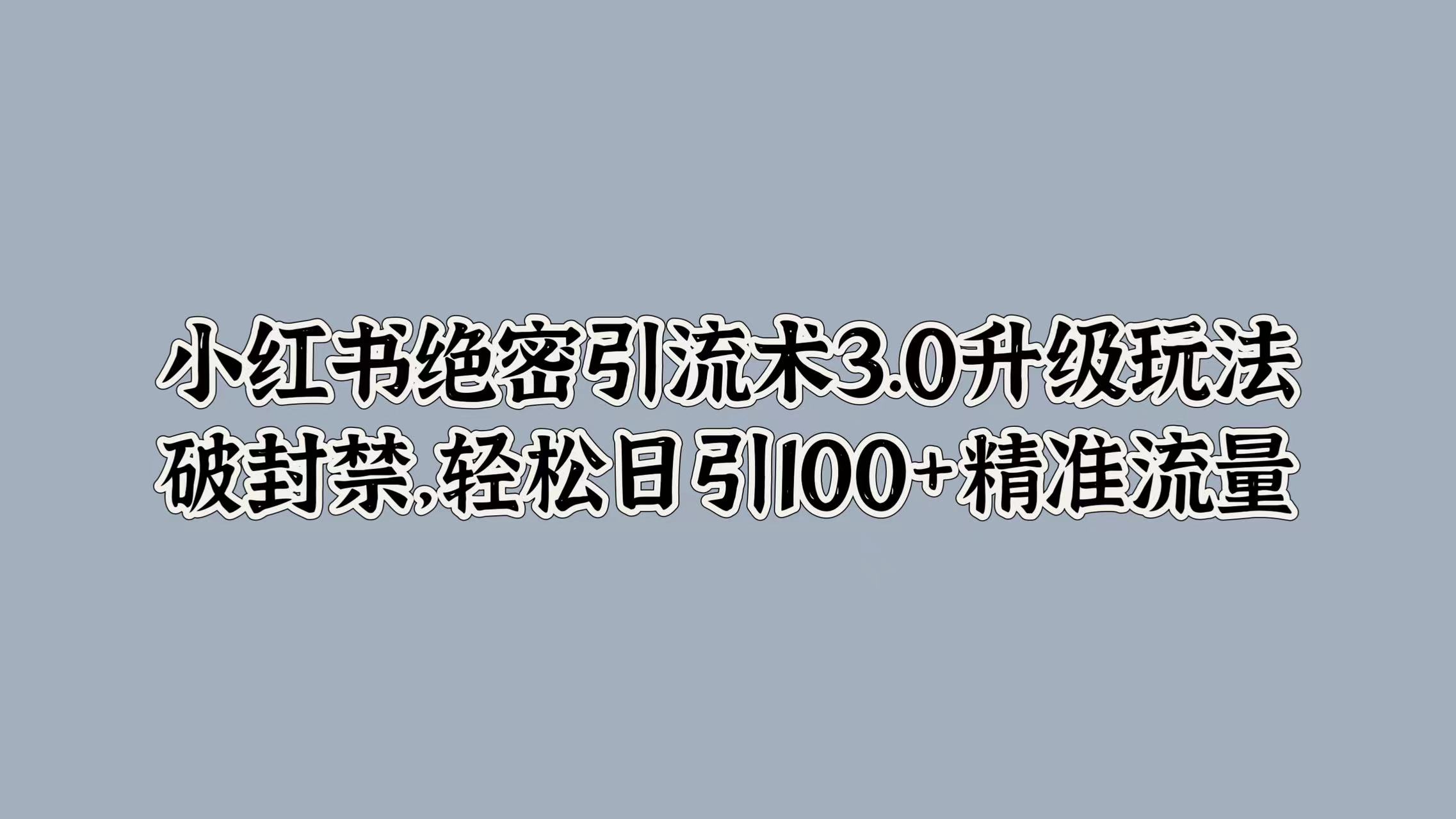 小红书绝密引流术3.0升级玩法，破封禁，轻松日引100+精准流量-网创特工