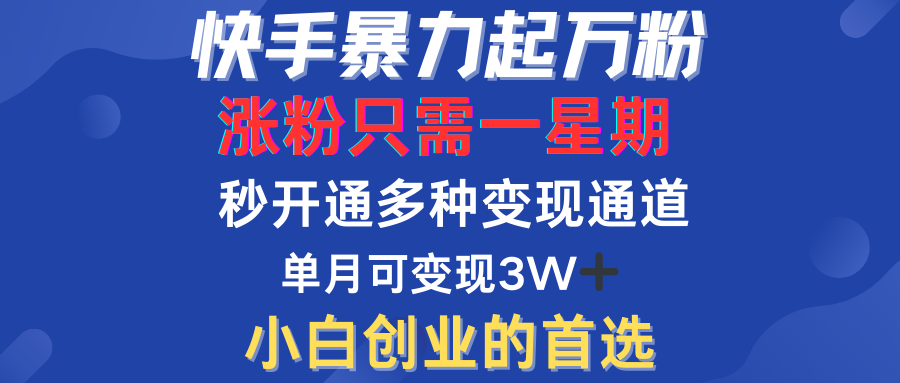 快手暴力起万粉，涨粉只需一星期！多种变现模式-网创特工