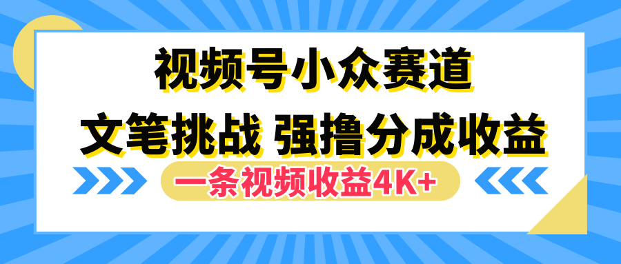 视频号小众赛道，文笔挑战，一条视频收益4K+-网创特工