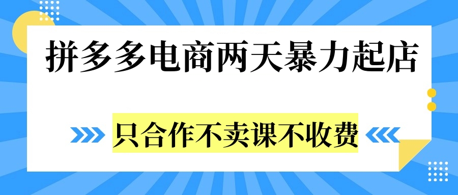 拼多多两天暴力起店，只合作不卖课不收费-网创特工