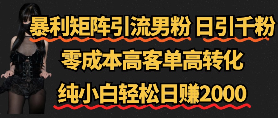 暴利矩阵引流男粉（日引千粉），零成本高客单高转化，纯小白轻松日赚2000+-网创特工