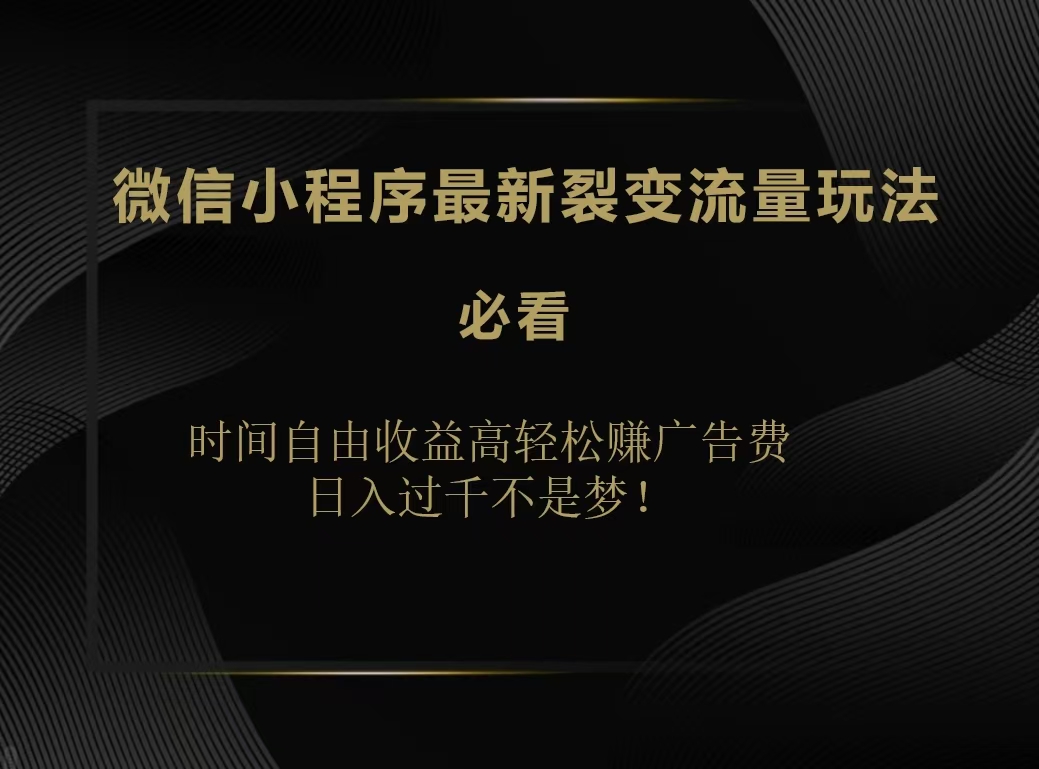 微信小程序最新裂变流量玩法，时间自由收益高轻松赚广告费，日入200-500+-网创特工