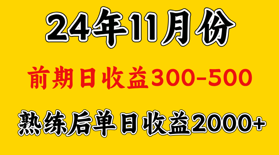 轻资产项目，前期日收益500左右，后期日收益1500-2000左右，多劳多得-网创特工