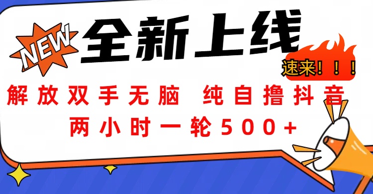 解放双手无脑 纯自撸抖音 两小时一轮500+-网创特工