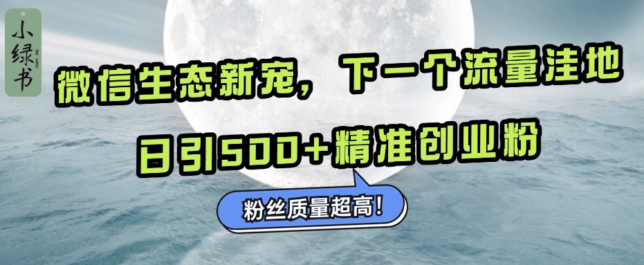 微信生态新宠小绿书：下一个流量洼地，粉丝质量超高，日引500+精准创业粉，-网创特工