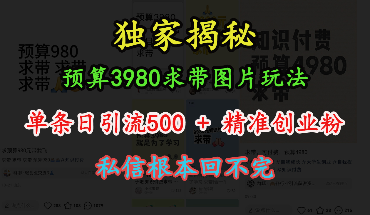 “小红书”预算3980求带 图片玩法，单条日引流500+精准创业粉，私信根本回不完-网创特工