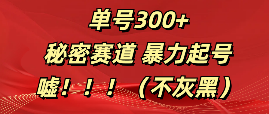 单号300+  秘密赛道 暴力起号  （不灰黑）-网创特工