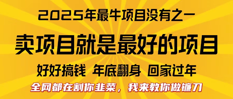 全网都在割你韭菜，我来教你做镰刀。卖项目就是最好的项目，2025年最牛互联网项目-网创特工