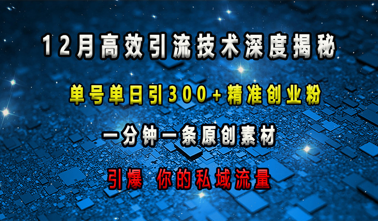 12月高效引流技术深度揭秘 ，单号单日引300+精准创业粉，一分钟一条原创素材，引爆你的私域流量-网创特工